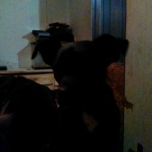 Meet your Posher, Katherine